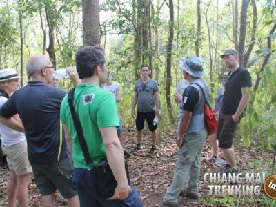 3-days/2-nights Trekking Tour | Chiang Mai Trekking | Le meilleur trekking à Chiang Mai avec Piroon Nantaya